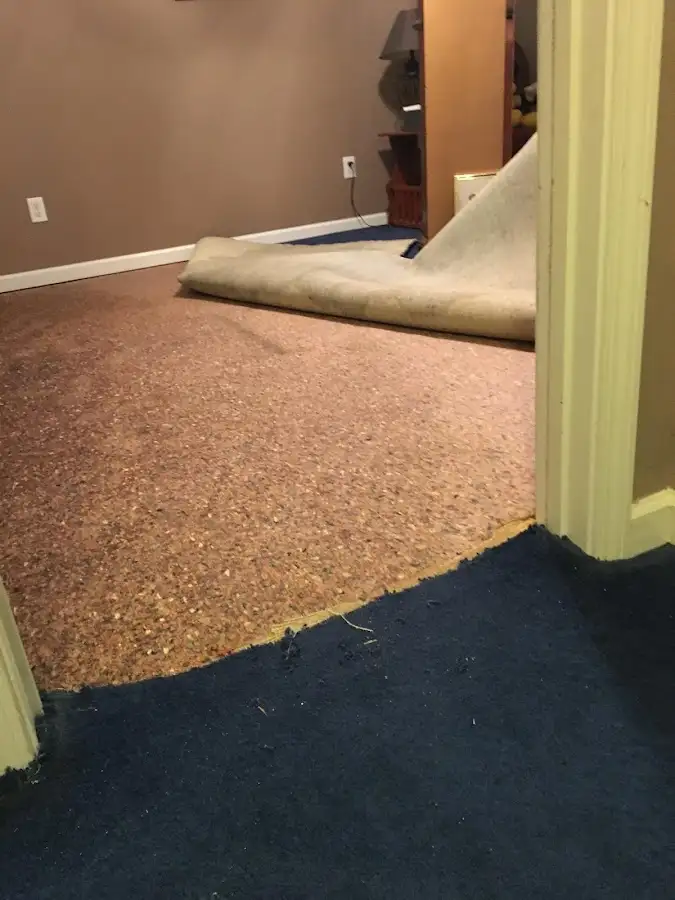 Carpet pad removal revealing water damage during Drying & Dehumidification in West Mifflin